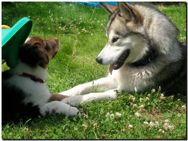 Aleshanee 7-2009 8.jpg